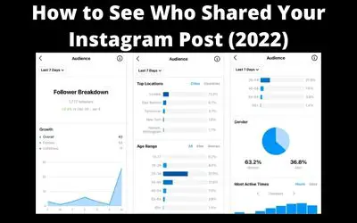 How to See Who Shared Your Instagram Post (2022)